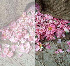 Harvest roses in a willow sack